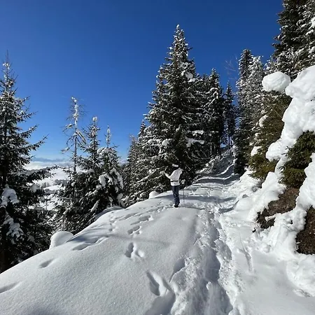 With 3 Bedrooms * Zirkitz