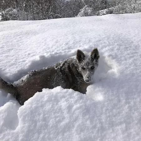 With 3 Bedrooms * Zirkitz