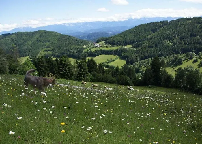 Vakantiehuis With 3 Bedrooms Zirkitz