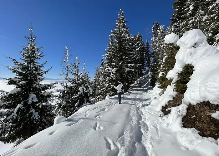 With 3 Bedrooms * Zirkitz