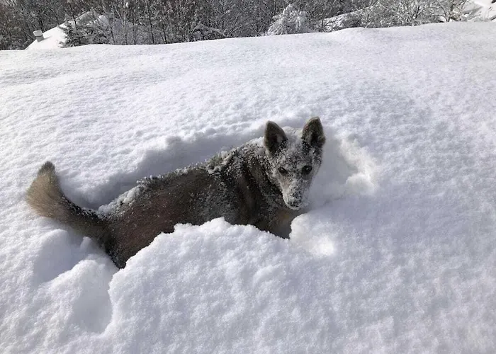 With 3 Bedrooms * Zirkitz