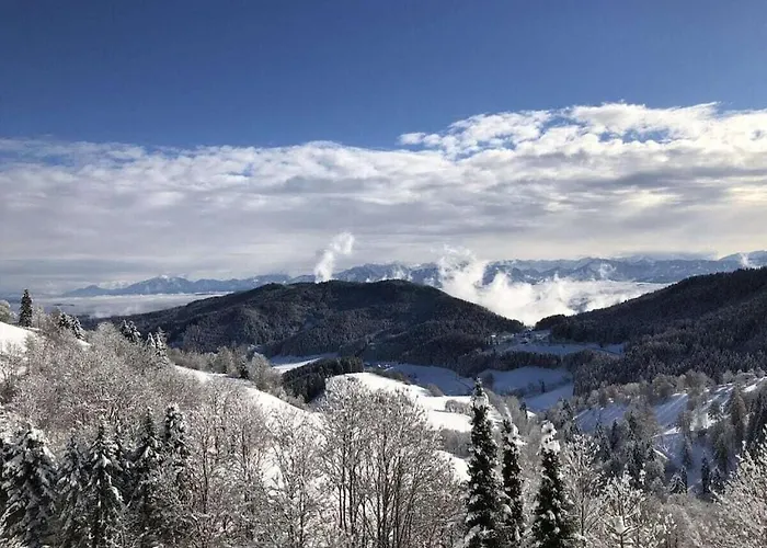 With 3 Bedrooms Vakantiehuis Zirkitz